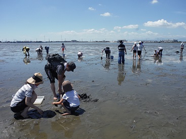 Tidal flat observation event