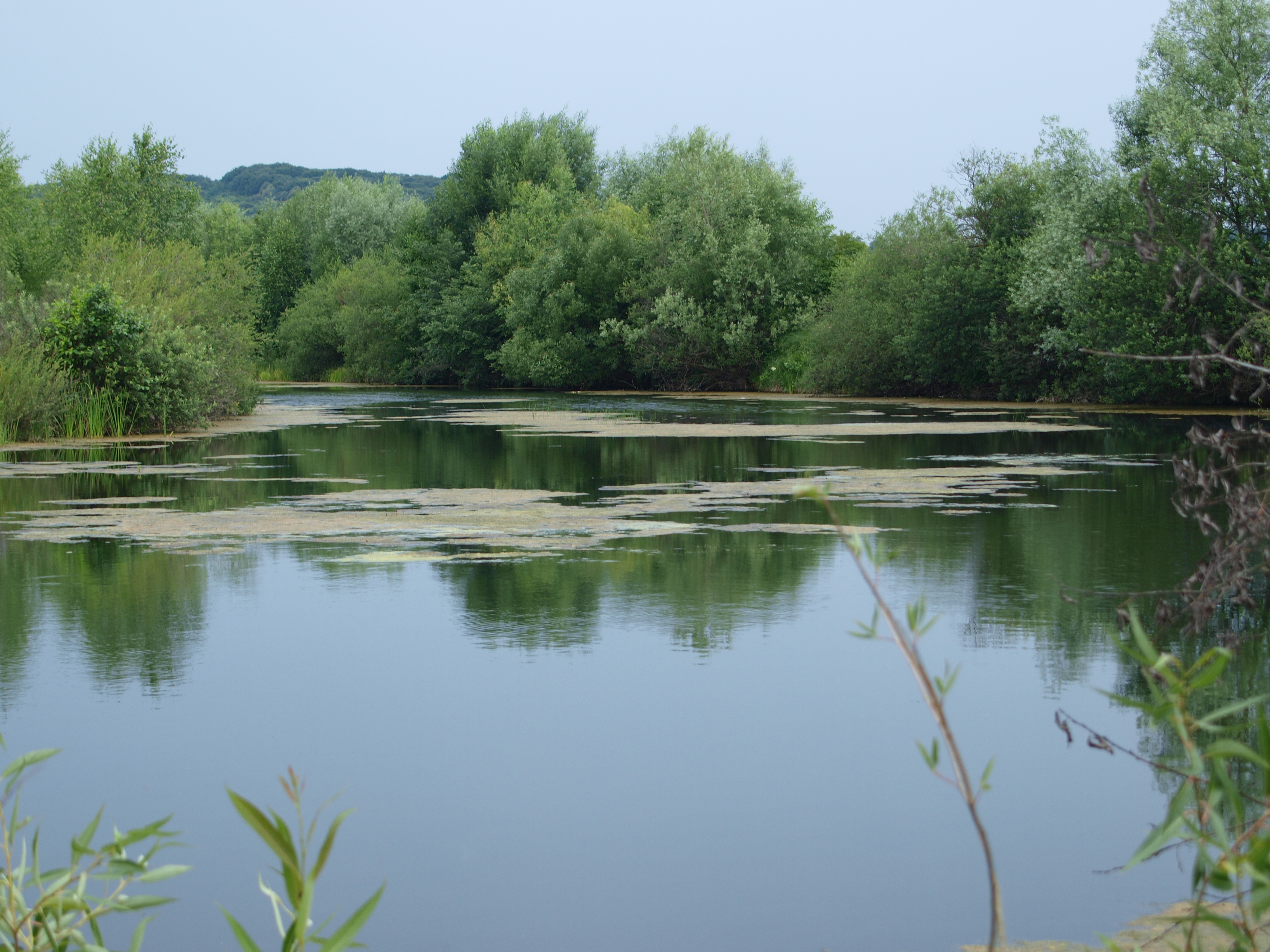 Dnister River (vicinities of the city of Halych, site “Pidkamin”)