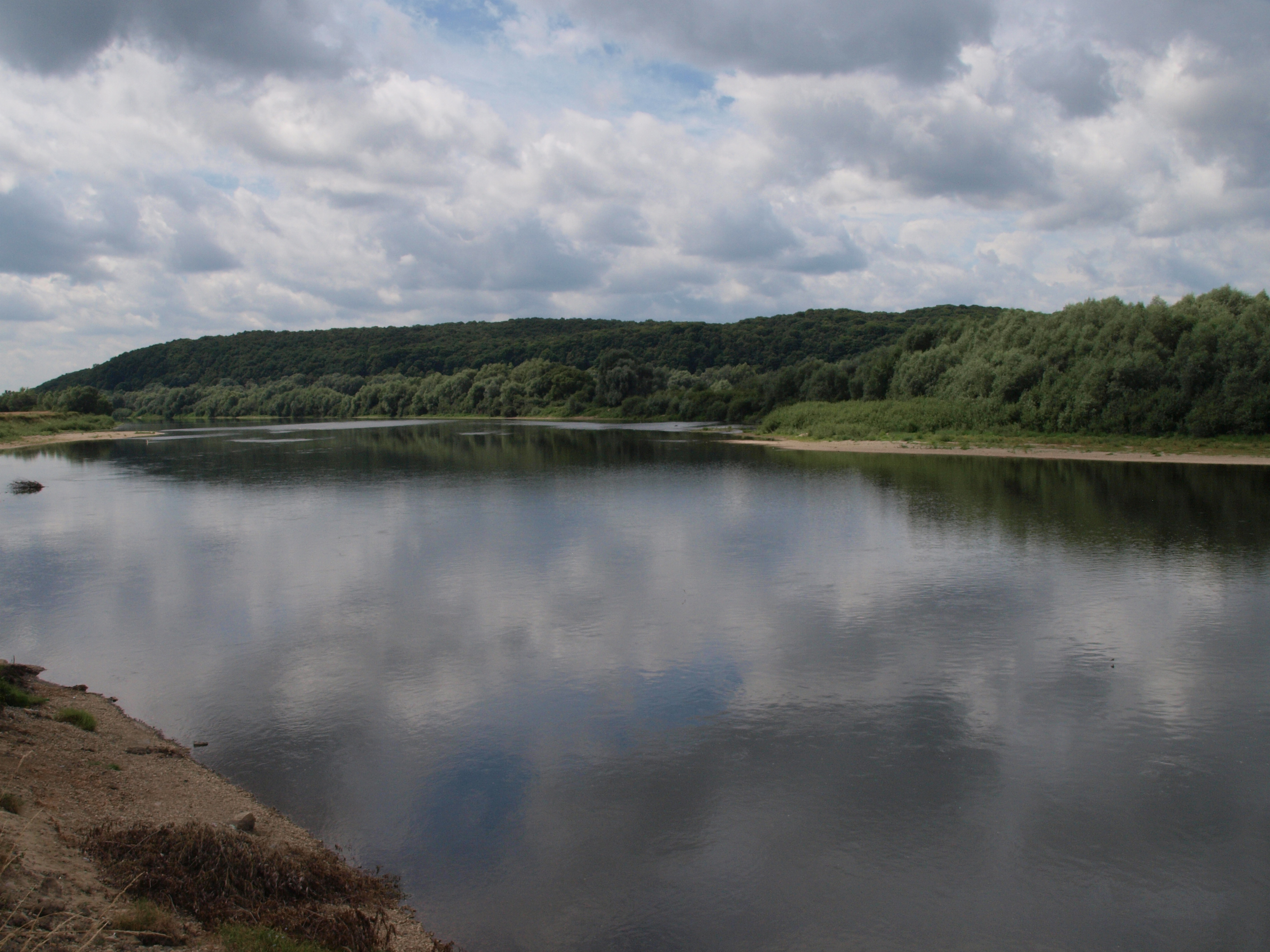 The Dnister oxbow lake (vicinities of the village of Vodnyky)