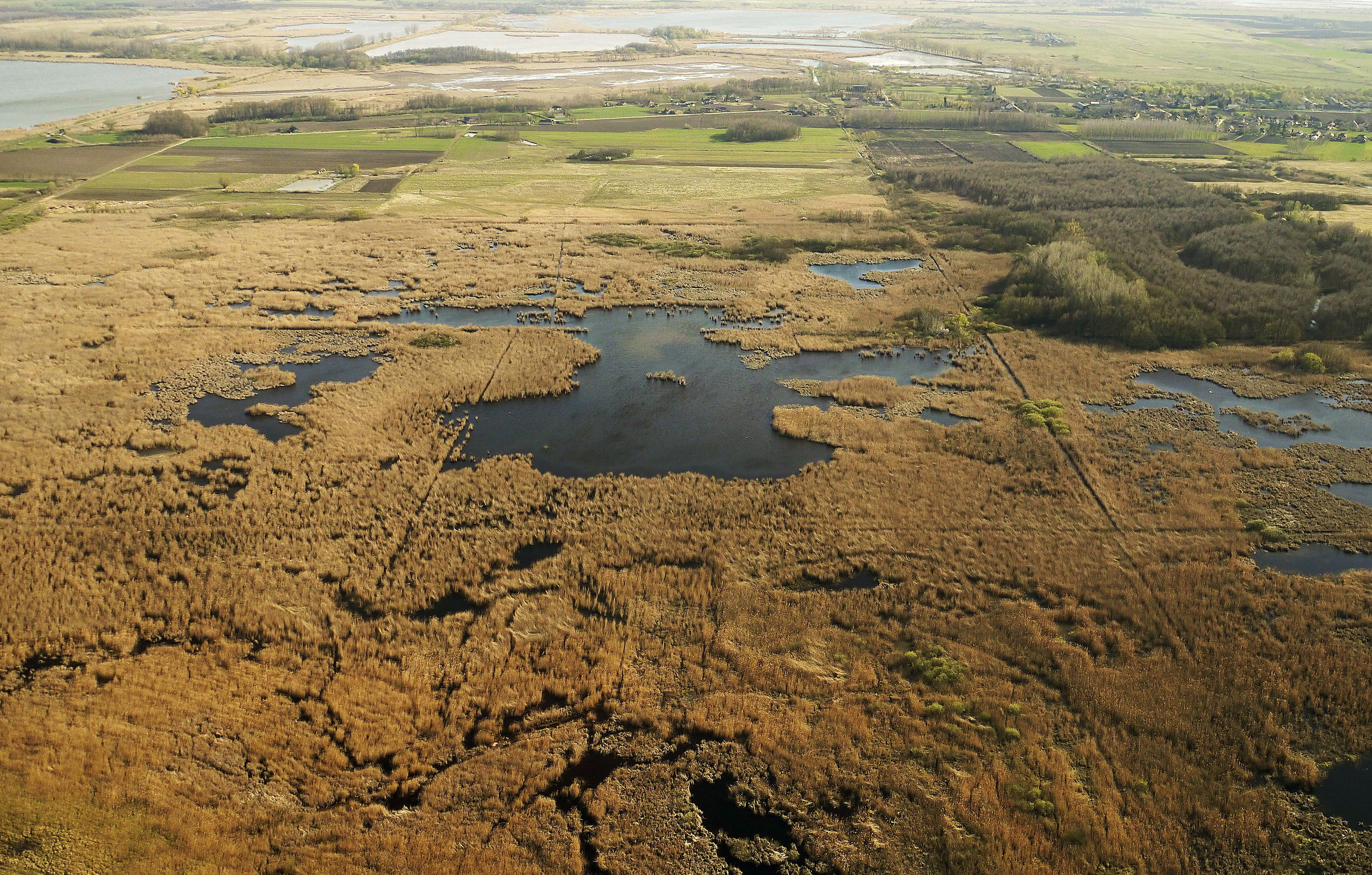 The Ugrai Meadow
