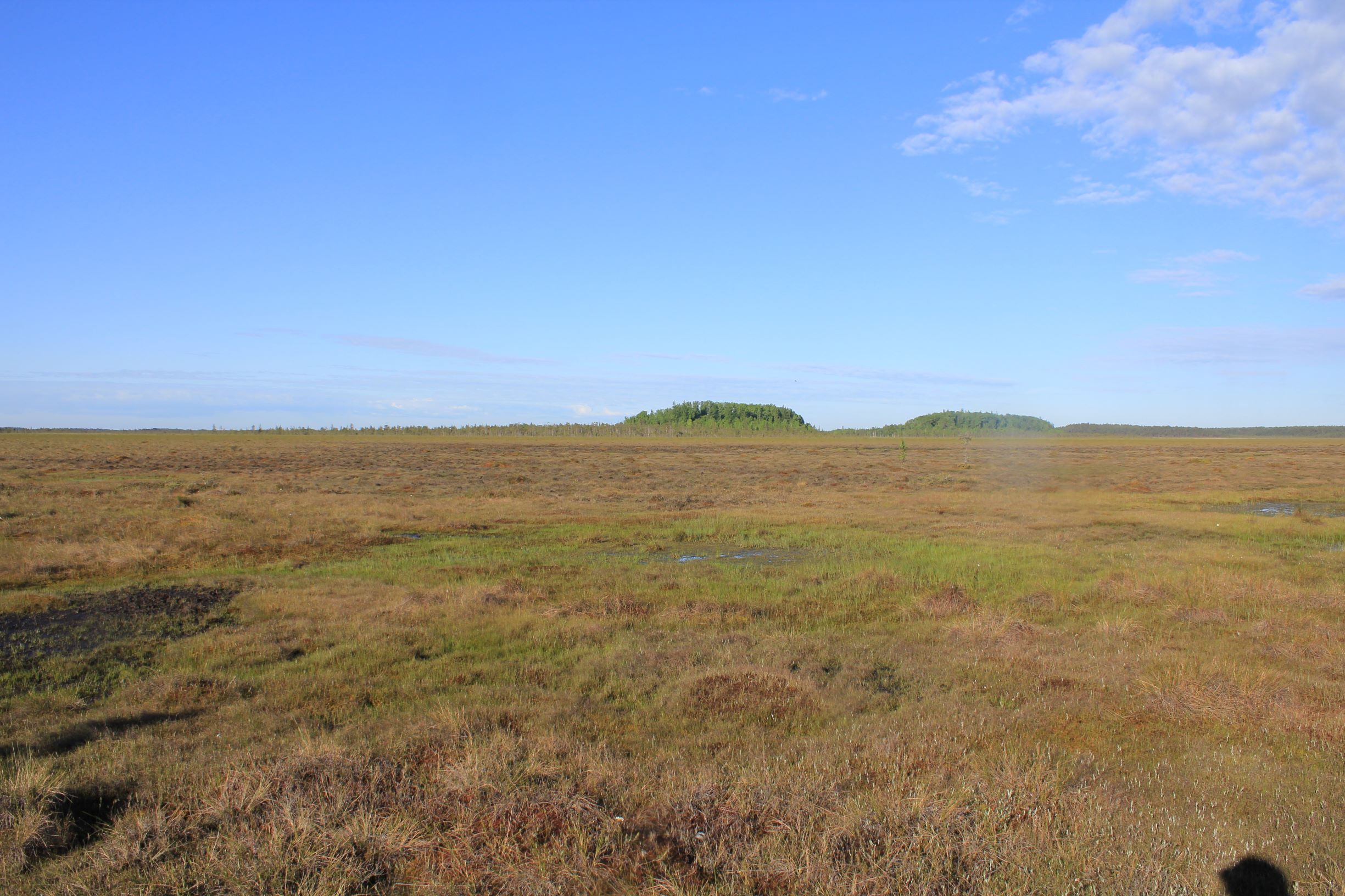 Open bog landscape with mineral islands