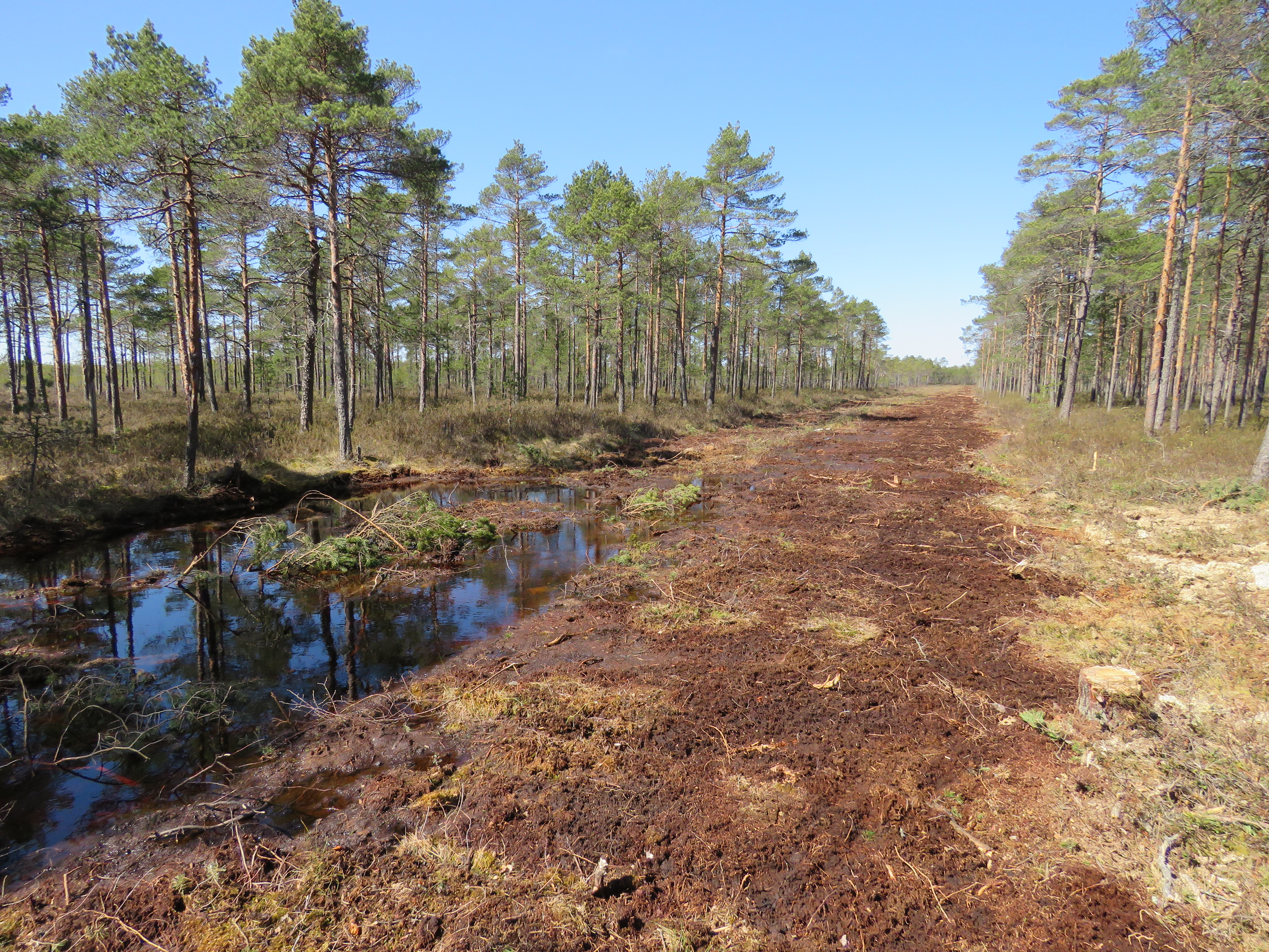 Habitats restoration - closing the ditches