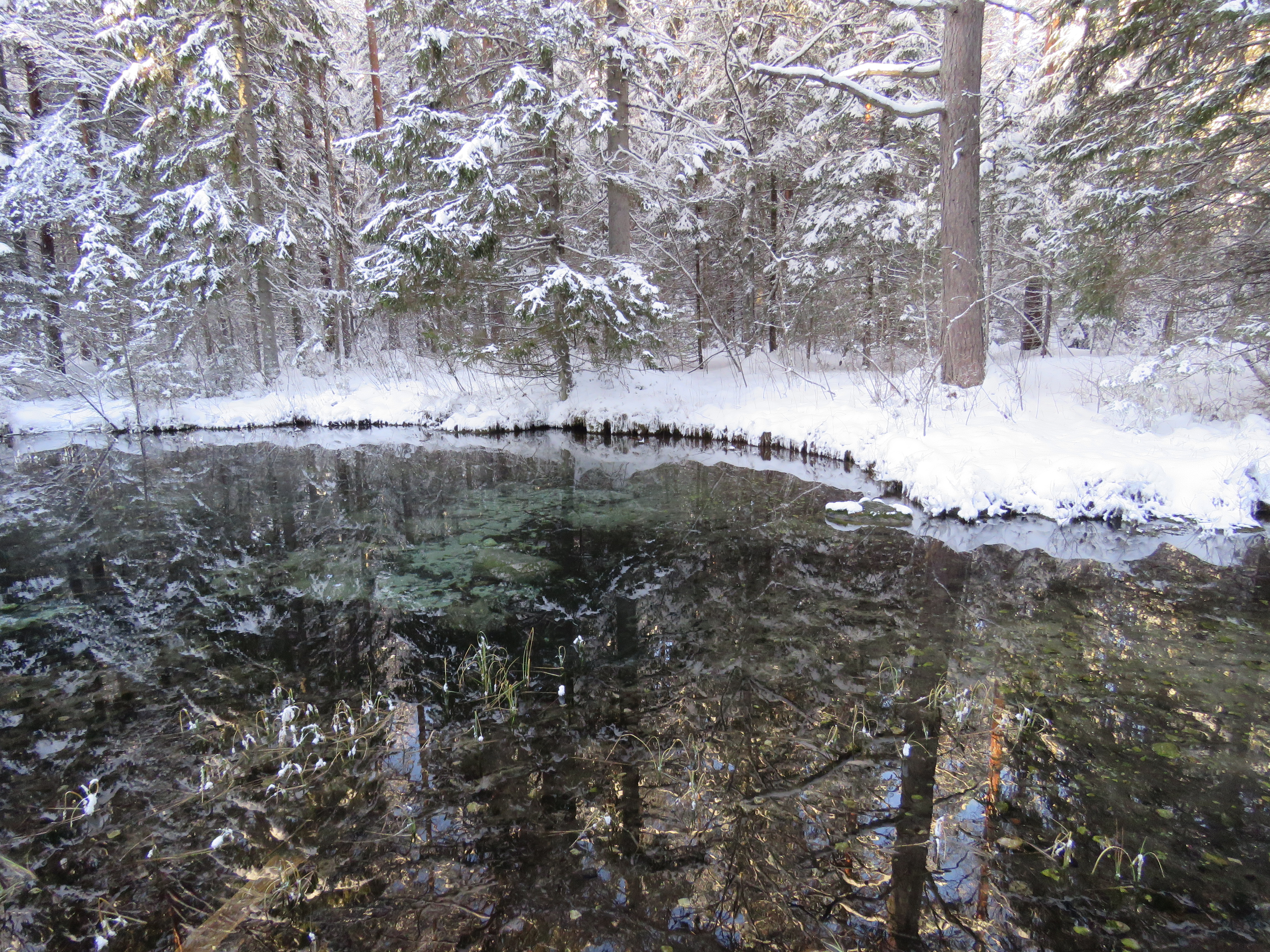 Oostriku spring on winter