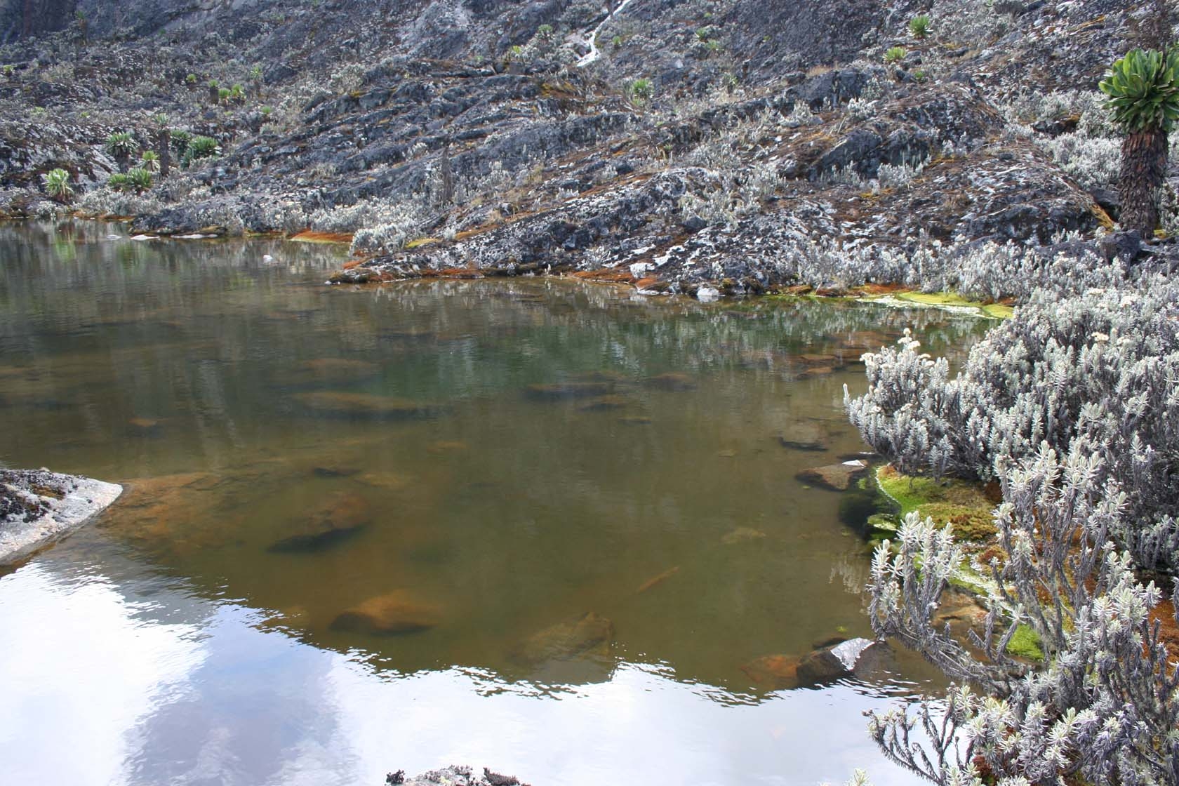 Irene Lakes at 4900m