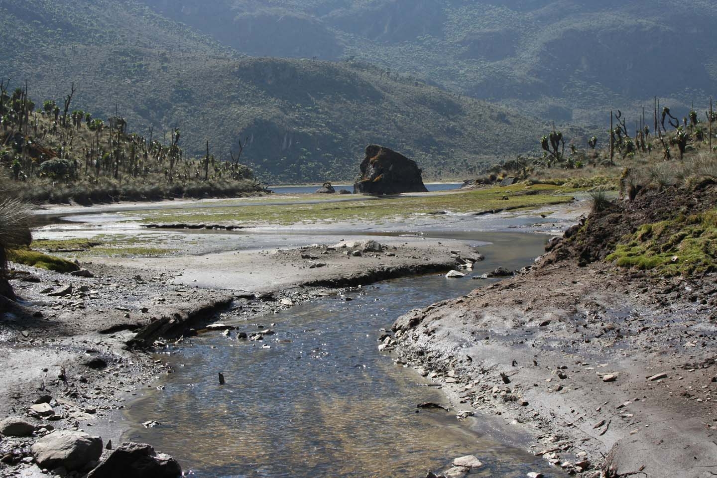 Lake Bujuku River at 3500m