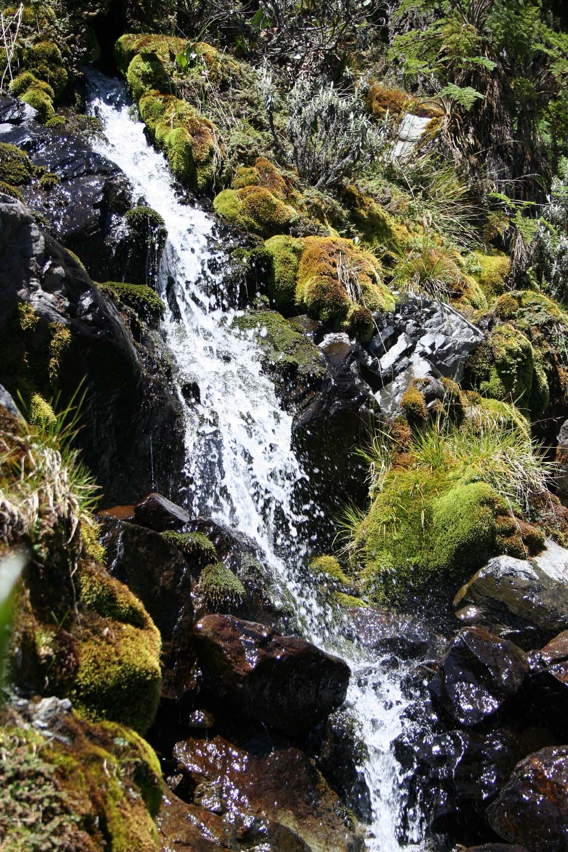 Mountain Stream