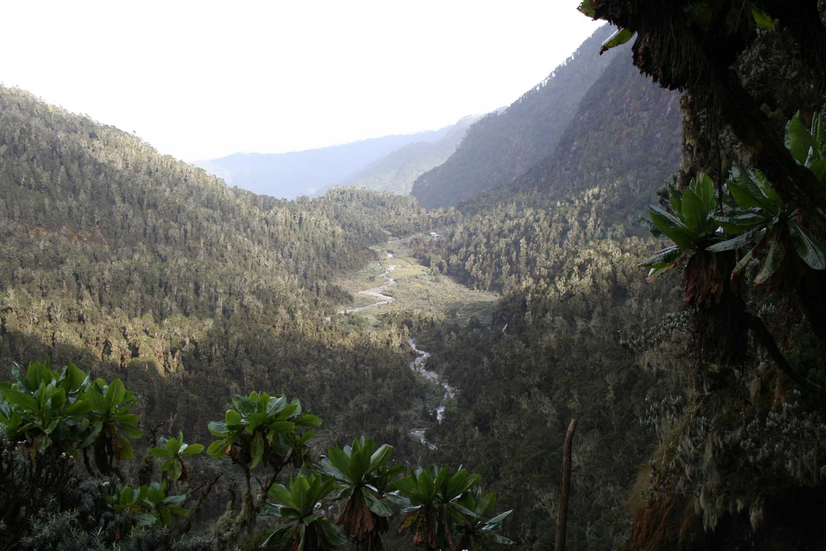 Valley near Guy Yeoman