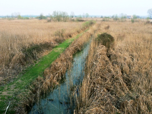 Palude del Busatello