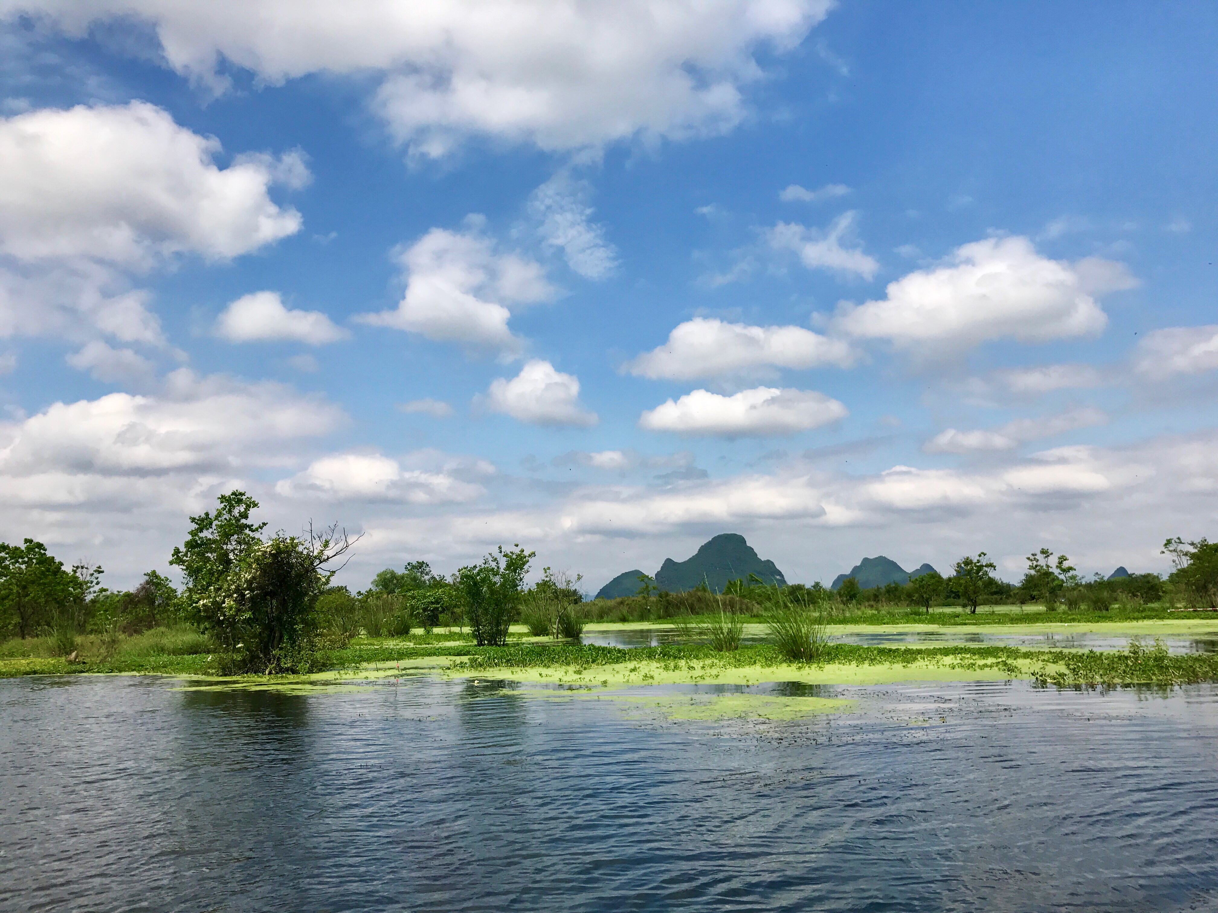 Karst Wetland