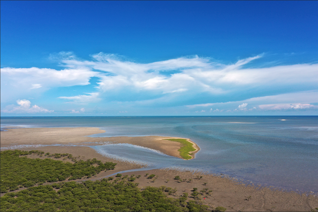 Intertidal mudflat