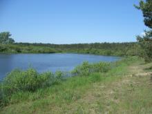 Ramsar site Vydritsa is situated in the Berezina River floodplain