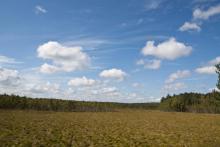 Poleski National Park