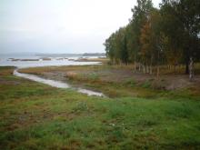 Lake Persöfjärden - Shore meadow and reed beds.