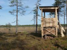 View of newly built bird tower.