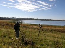 Bird survey at LLNR