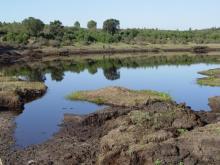 tourbière du lac noir