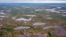 Sammuttijänkä-Vaijoenjänkä mires comprise a mosaic of freshwaters, mineral soil and peatland.